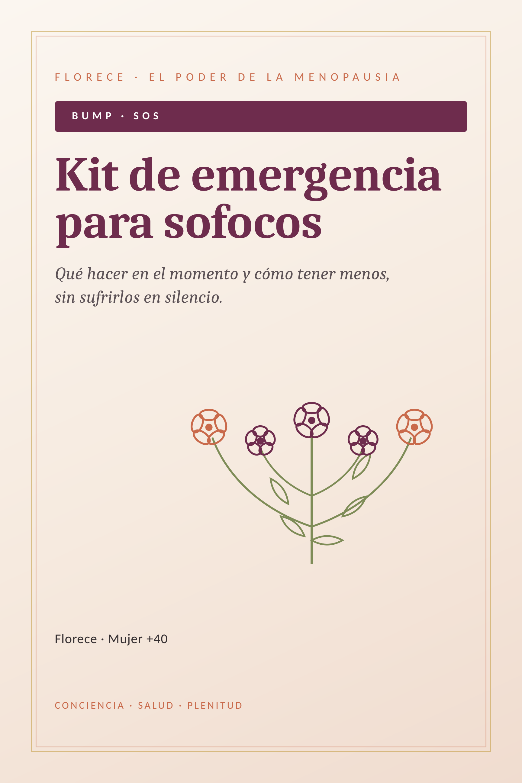 Kit de sofocos